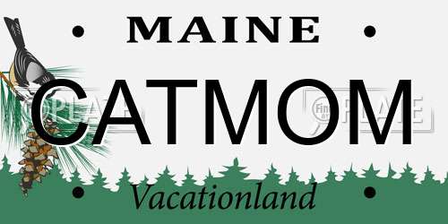 CATMOM Maine License Plate