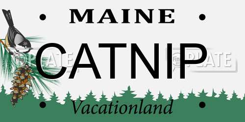 CATNIP Maine License Plate