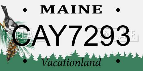 CAY7293 Maine License Plate