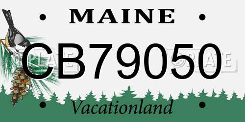 CB79050 Maine License Plate