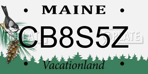 CB8S5Z Maine License Plate