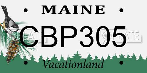 CBP305 Maine License Plate