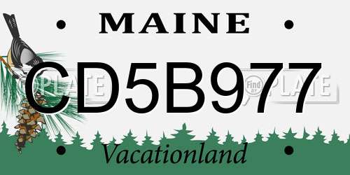 CD5B977 Maine License Plate