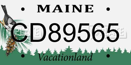 CD89565 Maine License Plate
