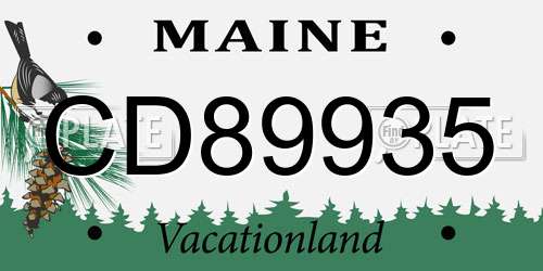 CD89935 Maine License Plate