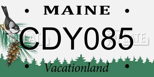 CDY085 Maine License Plate
