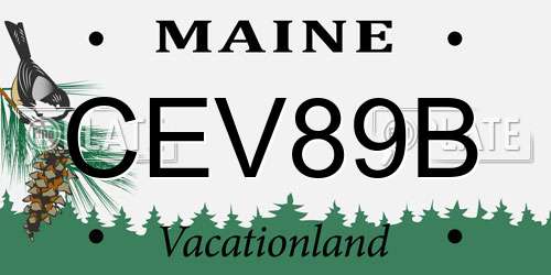 CEV89B Maine License Plate