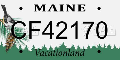 CF42170 Maine License Plate