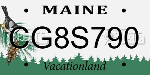 CG8S790 Maine License Plate