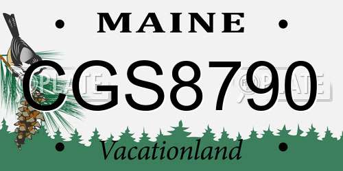 CGS8790 Maine License Plate