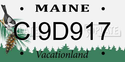 CI9D917 Maine License Plate
