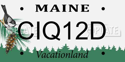 CIQ12D Maine License Plate