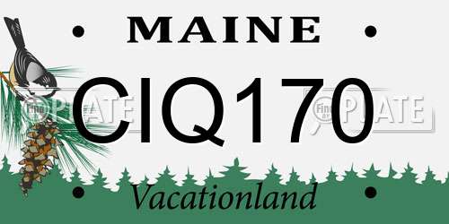 CIQ170 Maine License Plate