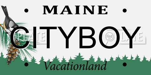 CITYBOY Maine License Plate
