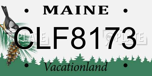 CLF8173 Maine License Plate