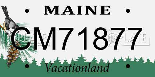 CM71877 Maine License Plate