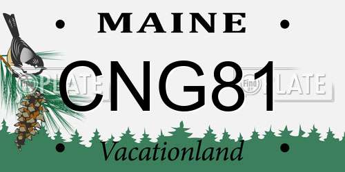 CNG81 Maine License Plate