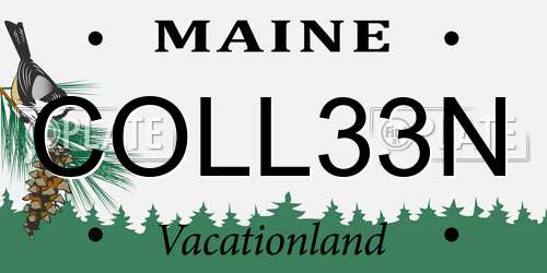 COLL33N Maine License Plate