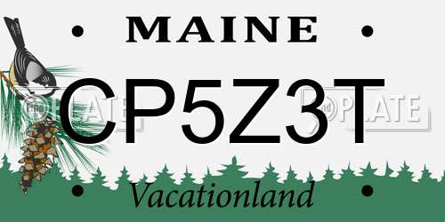 CP5Z3T Maine License Plate