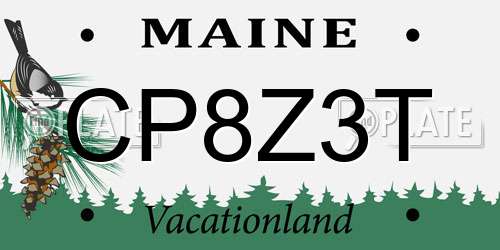 CP8Z3T Maine License Plate