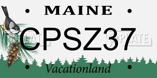 CPSZ37 Maine License Plate