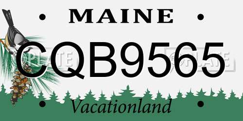 CQB9565 Maine License Plate
