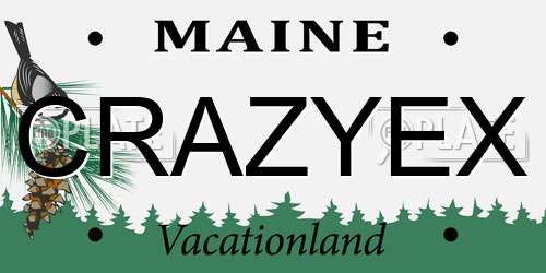 CRAZYEX Maine License Plate