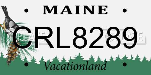 CRL8289 Maine License Plate