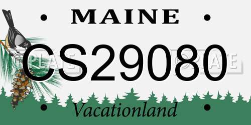 CS29080 Maine License Plate