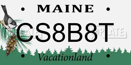 CS8B8T Maine License Plate