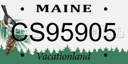 CS95905 Maine License Plate