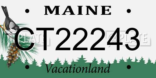 CT22243 Maine License Plate