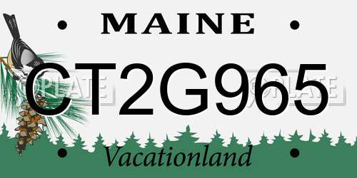 CT2G965 Maine License Plate