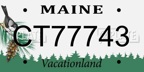 CT77743 Maine License Plate
