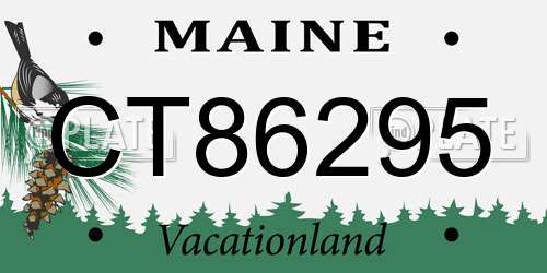 CT86295 Maine License Plate
