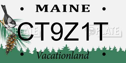 CT9Z1T Maine License Plate