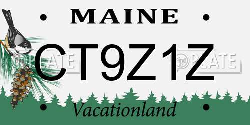 CT9Z1Z Maine License Plate