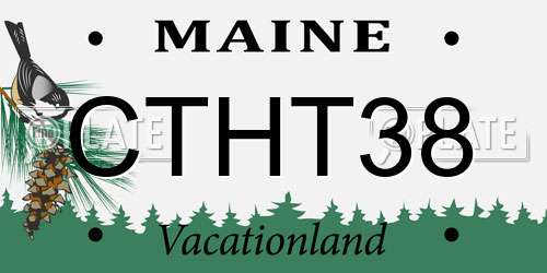 CTHT38 Maine License Plate