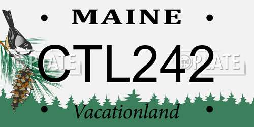 CTL242 Maine License Plate