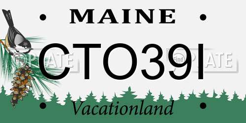 CTO39I Maine License Plate