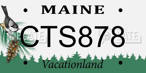 CTS878 Maine License Plate