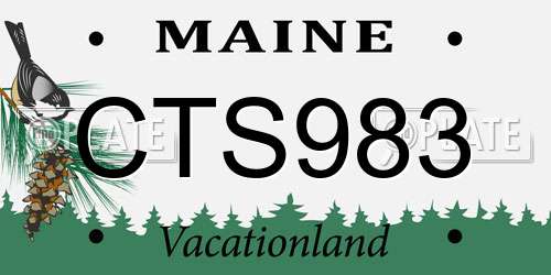 CTS983 Maine License Plate