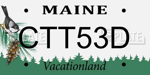 CTT53D Maine License Plate