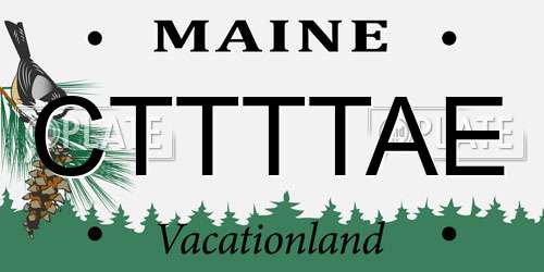 CTTTTAE Maine License Plate
