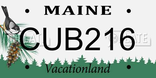 CUB216 Maine License Plate
