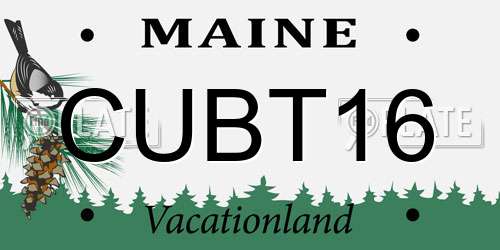 CUBT16 Maine License Plate