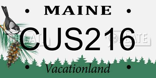 CUS216 Maine License Plate