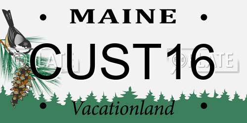 CUST16 Maine License Plate