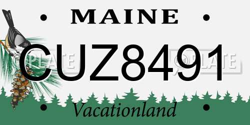 CUZ8491 Maine License Plate