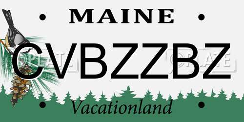CVBZZBZ Maine License Plate
